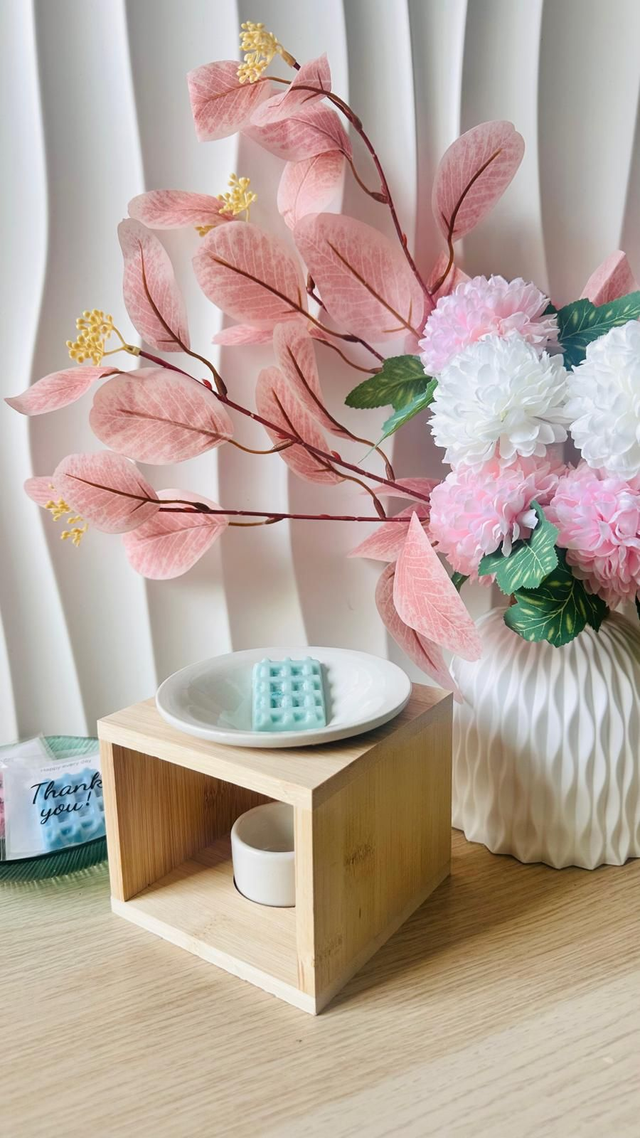 Brûleur Atmosphère