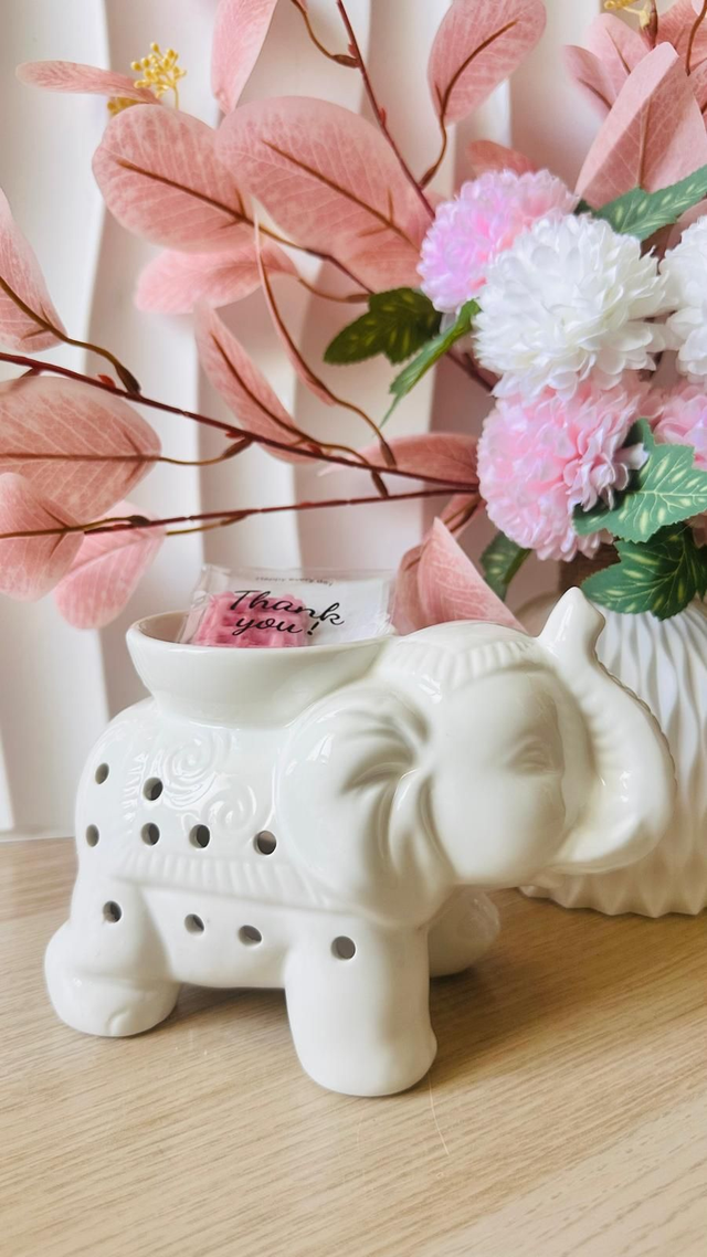 Brûleur TANDOR Eléphant Sacré Blanc