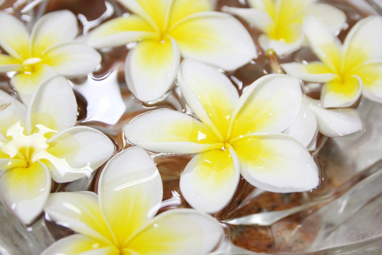 Fondant Parfumé Monoï