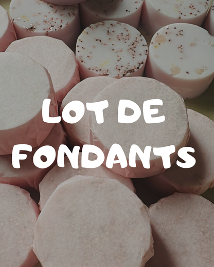 Lot de fondants