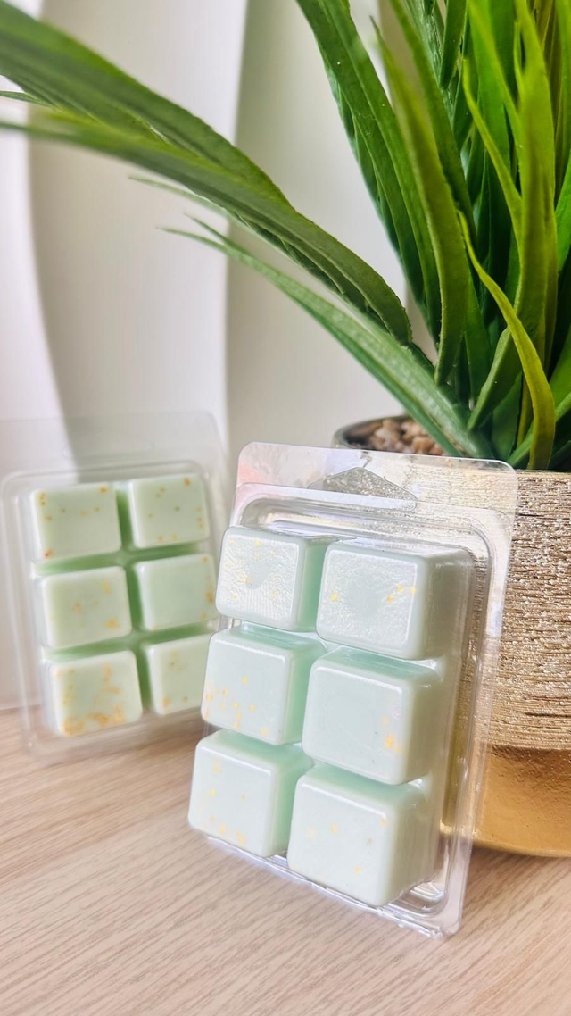 Snapbars Parfumés 70 gr