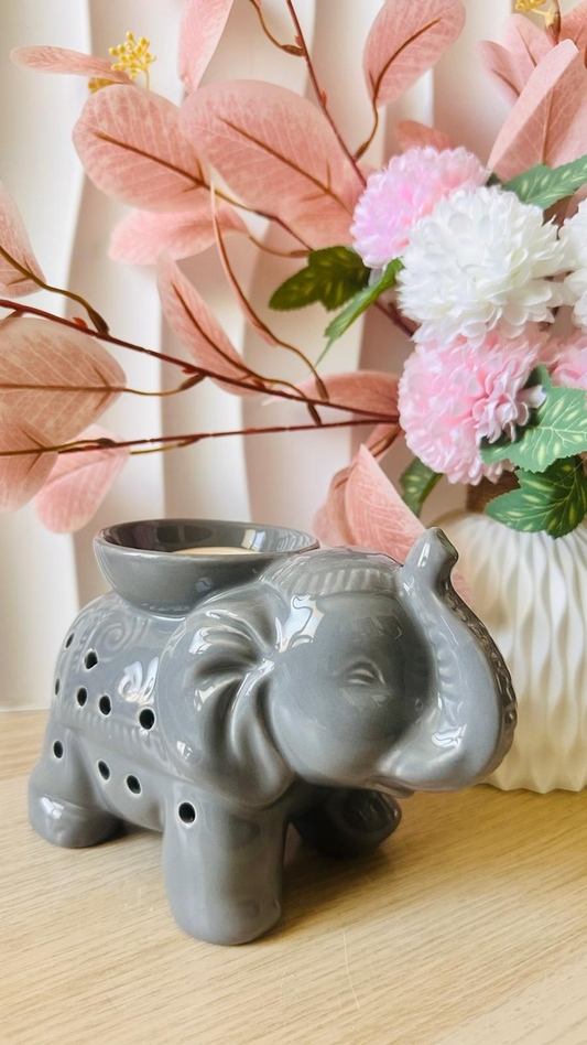 Brûleur Tandor Eléphant Sacré Gris