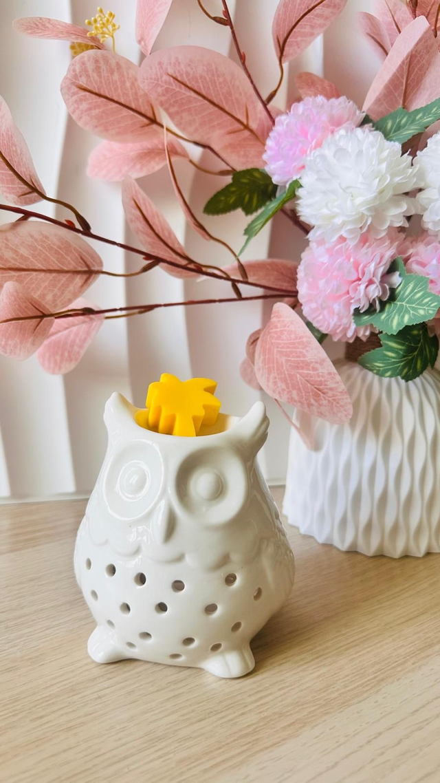 Brûleur Hibou