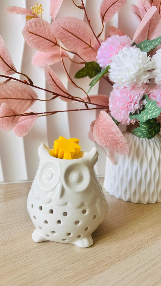 Brûleur Hibou